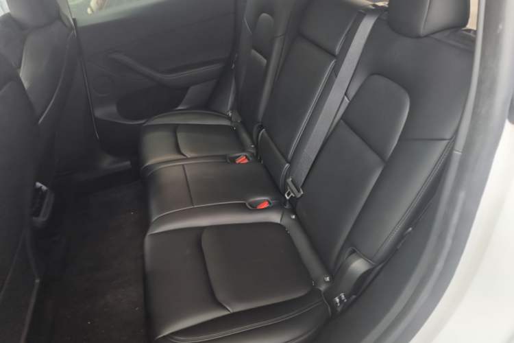 Used Tesla Model Y 2022 Performance High-Performance All-Wheel-Drive Version Left Rear Seat