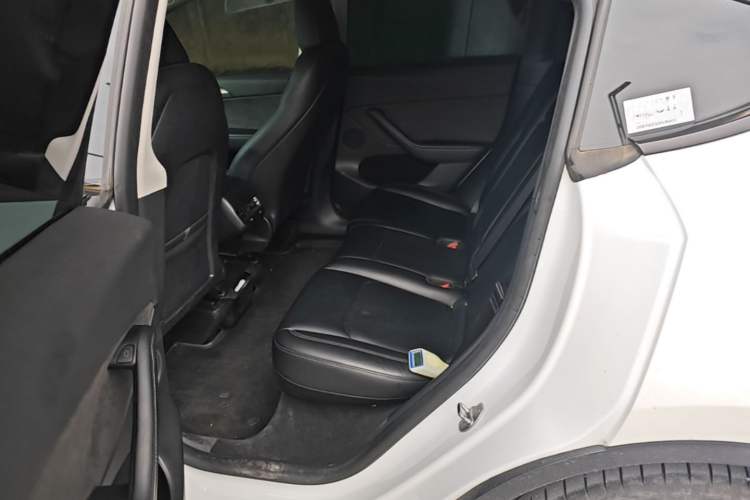 Used Tesla Model Y 2022 Revised Version Rear-Wheel Drive Left Rear Seat