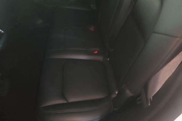 Used Tesla Model Y 2022 Rear-Wheel-Drive Version Left Rear Seat