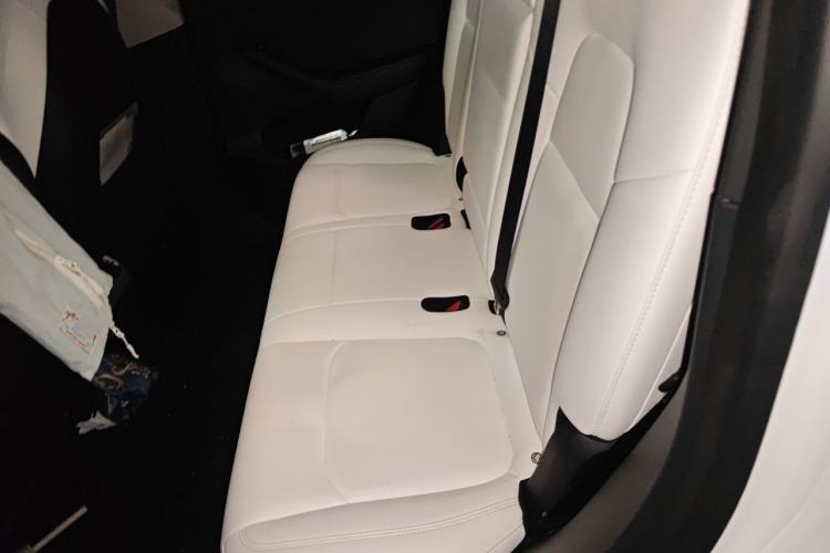 Used Tesla Model Y 2022 Rear-Wheel-Drive Version Left Rear Seat