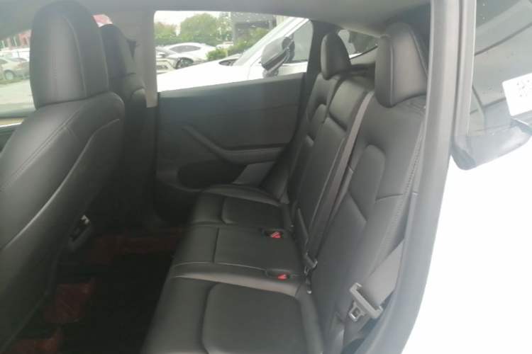 Used Tesla Model Y 2022 Long-Range All-Wheel-Drive Version Left Rear Seat