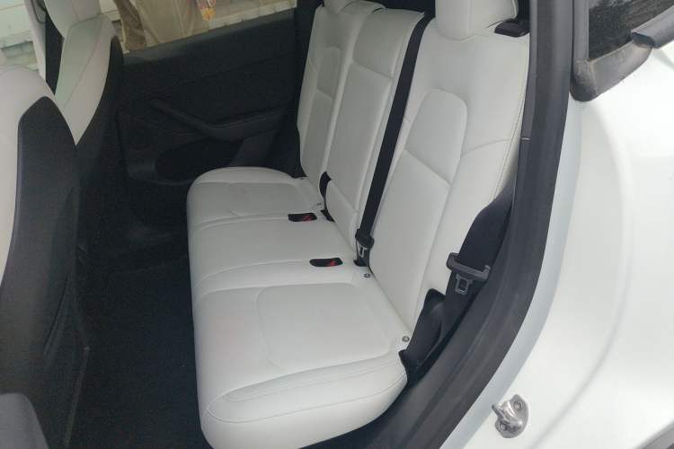 Used Tesla Model Y 2022 Performance High-Performance All-Wheel-Drive Version Left Rear Seat
