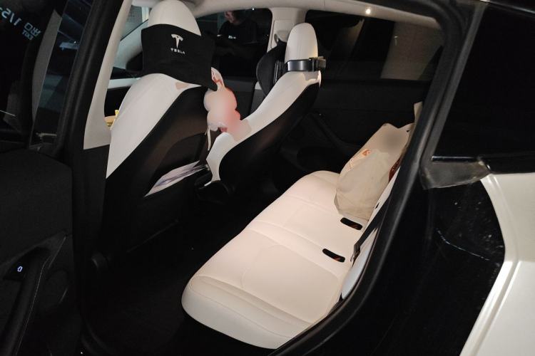 Used Tesla Model Y 2022 Long-Range All-Wheel-Drive Version Left Rear Seat