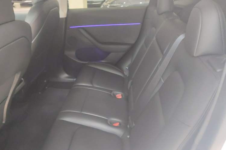 Used Tesla Model Y 2022 Performance High-Performance All-Wheel-Drive Version Left Rear Seat