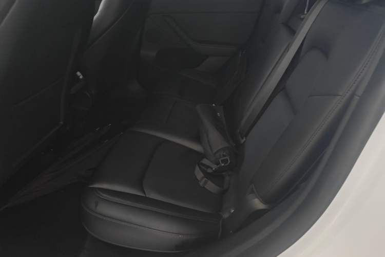 Used Tesla Model Y 2022 Revised Version Rear-Wheel Drive Left Rear Seat