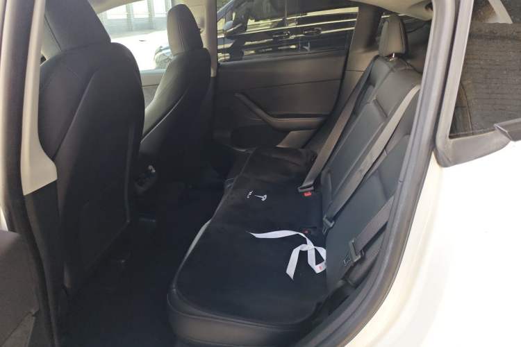 Used Tesla Model Y 2022 Performance High-Performance All-Wheel-Drive Version Left Rear Seat