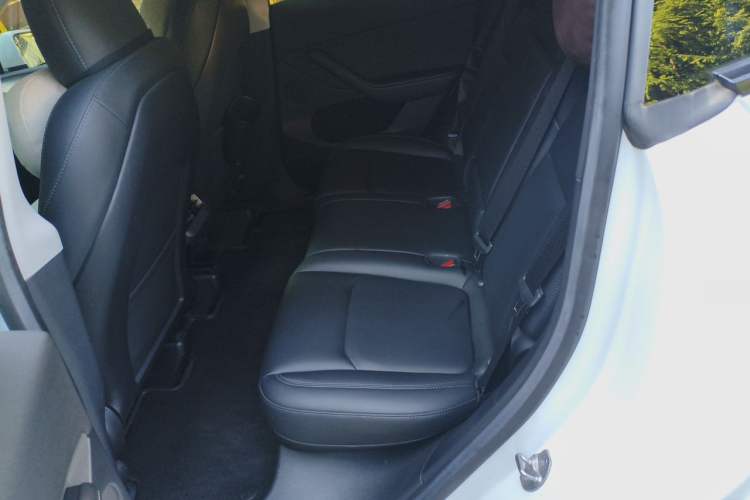 Used Tesla Model Y 2022 Revised Version Rear-Wheel Drive Left Rear Seat