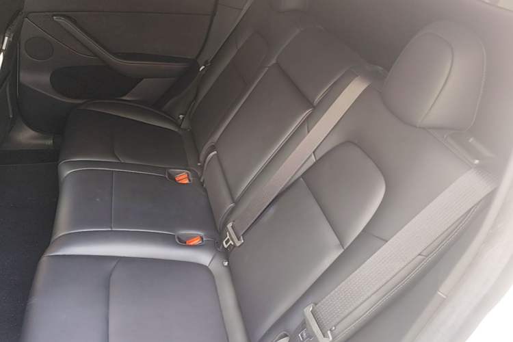 Used Tesla Model Y 2022 Revised Version Rear-Wheel Drive Left Rear Seat