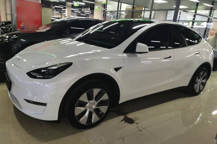 Used Tesla Model Y 2022 Revised Version Long-Range All-Wheel Drive Left Side