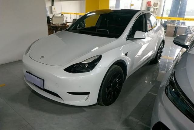 Tesla Model Y 2022 Revised Version Rear-Wheel Drive de segunda mano