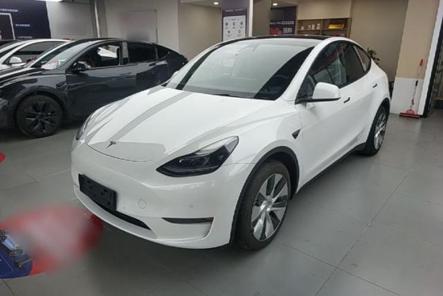 Tesla Model Y 2022 Revised Version Long-Range All-Wheel Drive de segunda mano