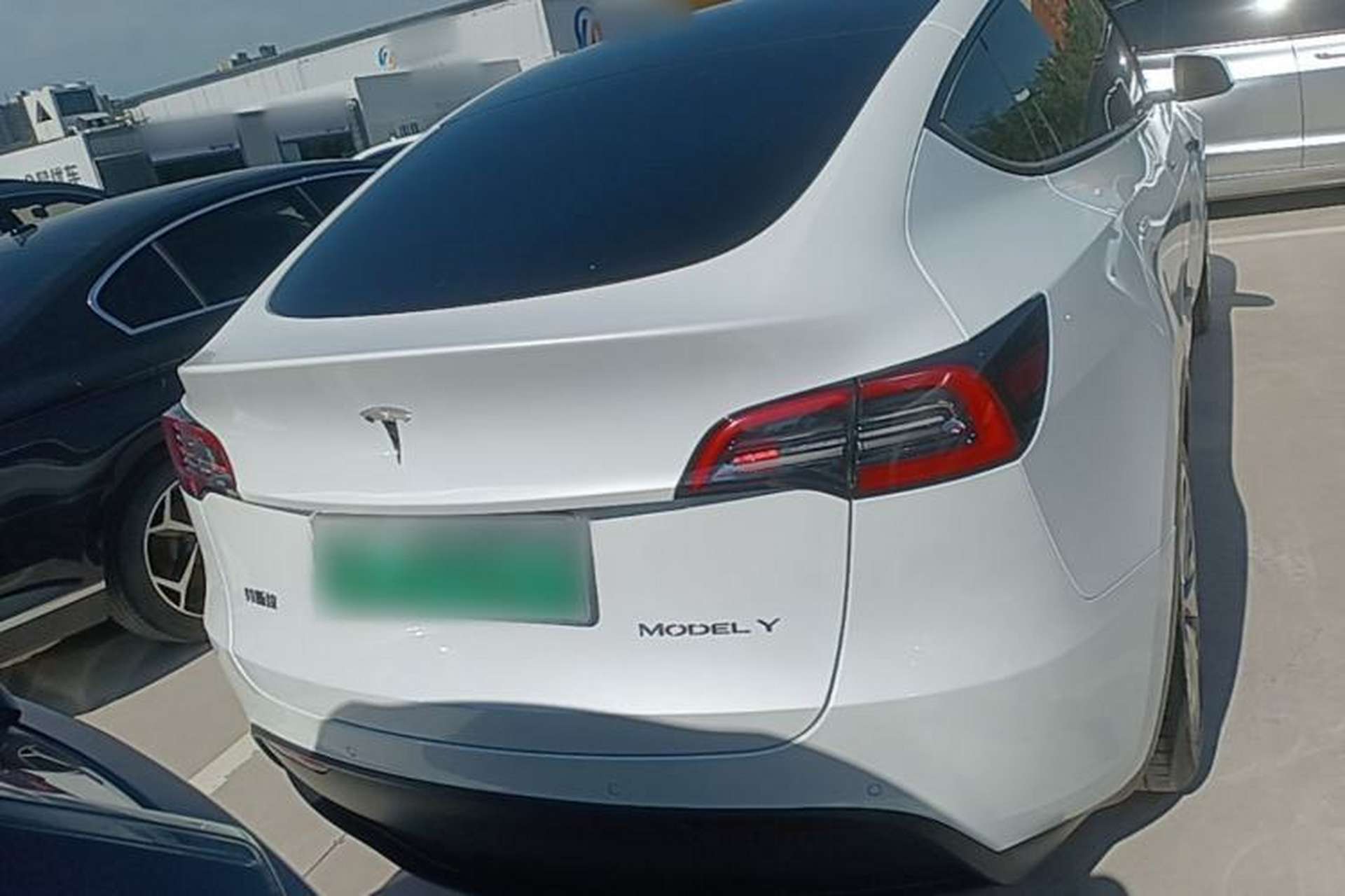 Used Tesla Model Y 2022 Rear-Wheel-Drive Version Rear