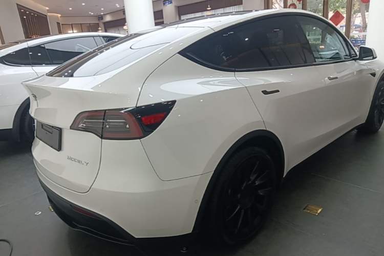 Used Tesla Model Y 2022 Rear-Wheel-Drive Version Rear