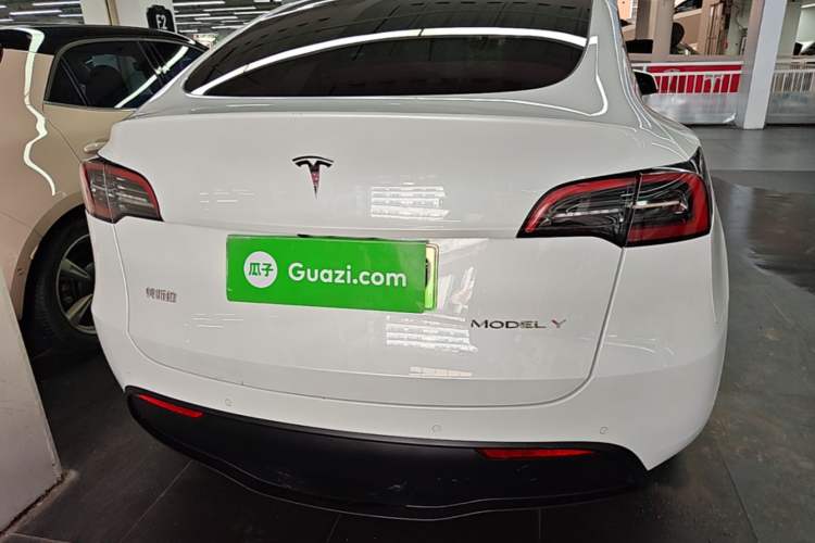 Used Tesla Model Y 2022 Rear-Wheel-Drive Version Rear