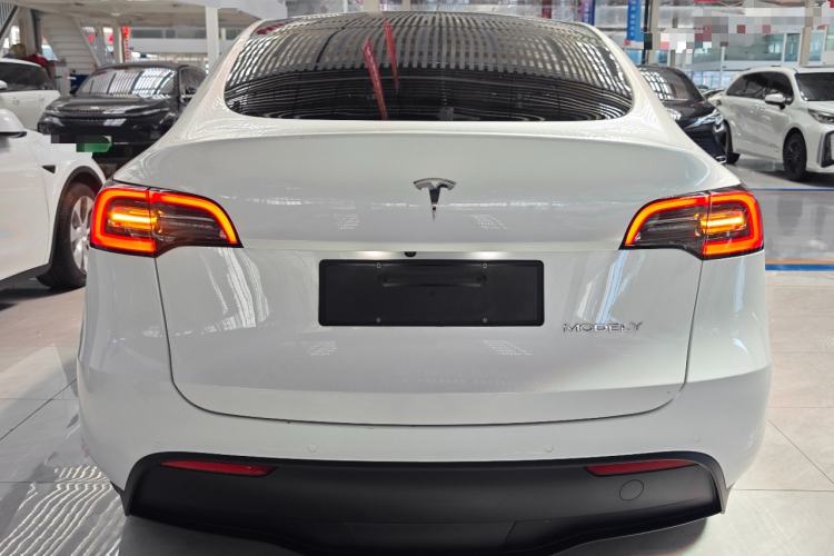 Used Tesla Model Y 2022 Rear-Wheel-Drive Version Rear