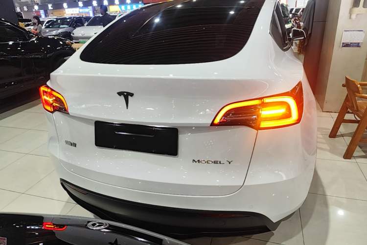 Used Tesla Model Y 2022 Long-Range All-Wheel-Drive Version Rear