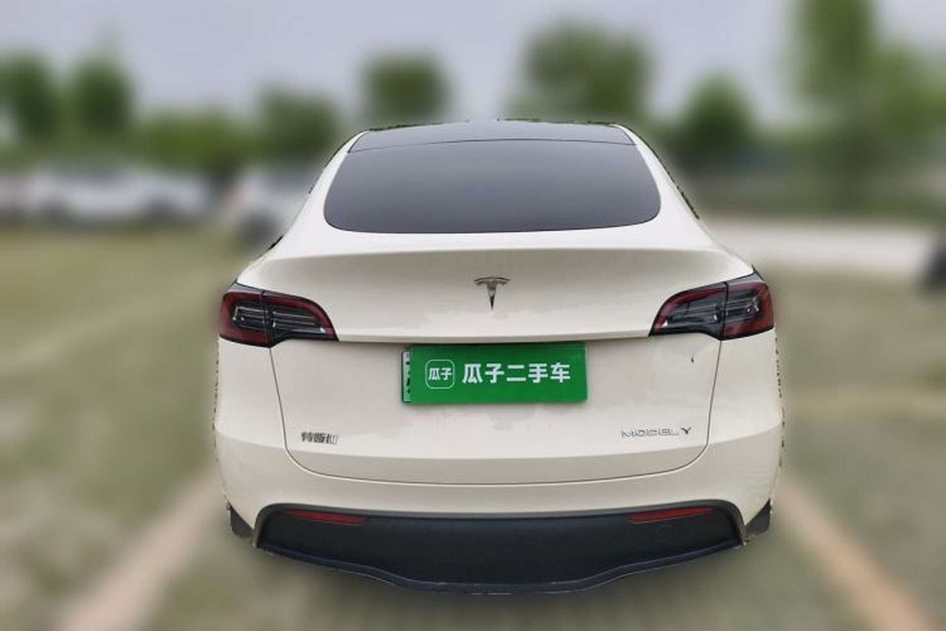 Used Tesla Model Y 2022 Revised Version Rear-Wheel Drive Rear