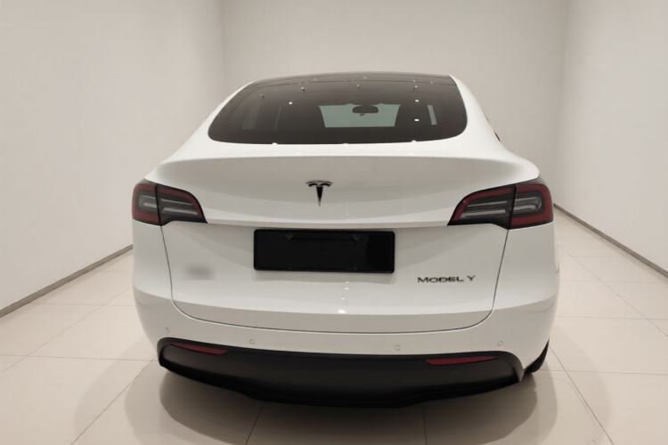 Used Tesla Model Y 2022 Rear-Wheel-Drive Version Rear