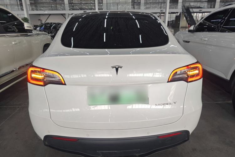 Used Tesla Model Y 2022 Revised Version Rear-Wheel Drive Rear