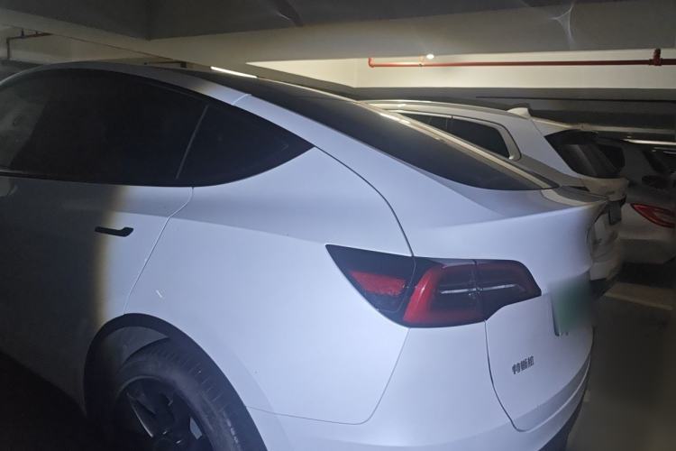 Used Tesla Model Y 2022 Long-Range All-Wheel-Drive Version Rear Left 45 Deg