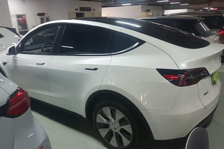 Used Tesla Model Y 2022 Revised Version Long-Range All-Wheel Drive Rear Left 45 Deg