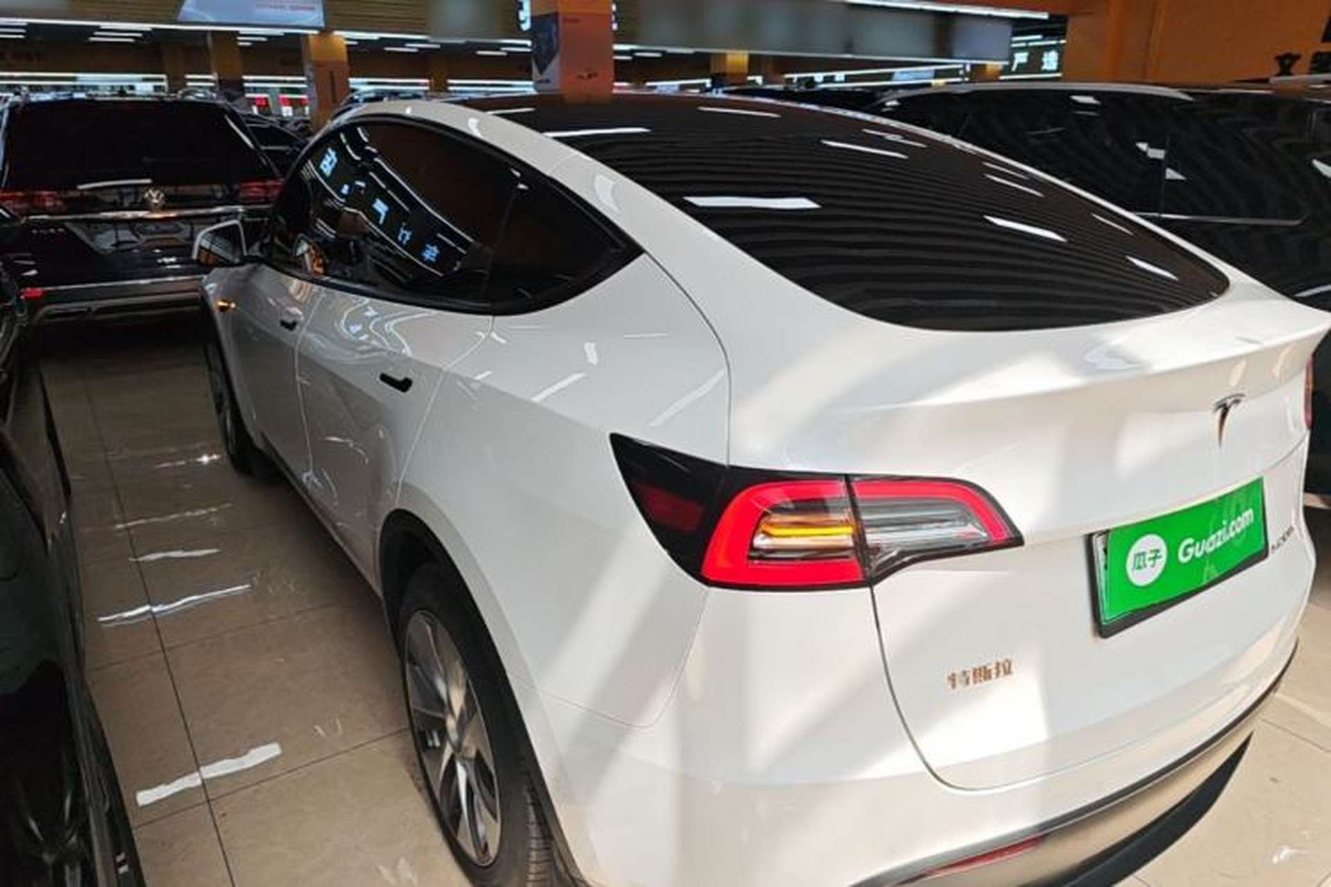 Used Tesla Model Y 2022 Long-Range All-Wheel-Drive Version Rear Left 45 Deg