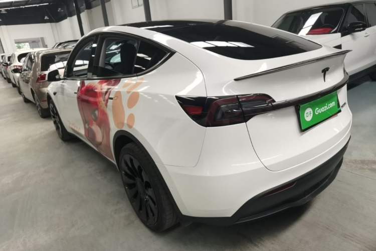 Used Tesla Model Y 2022 Revised Version Long-Range All-Wheel Drive Rear Left 45 Deg