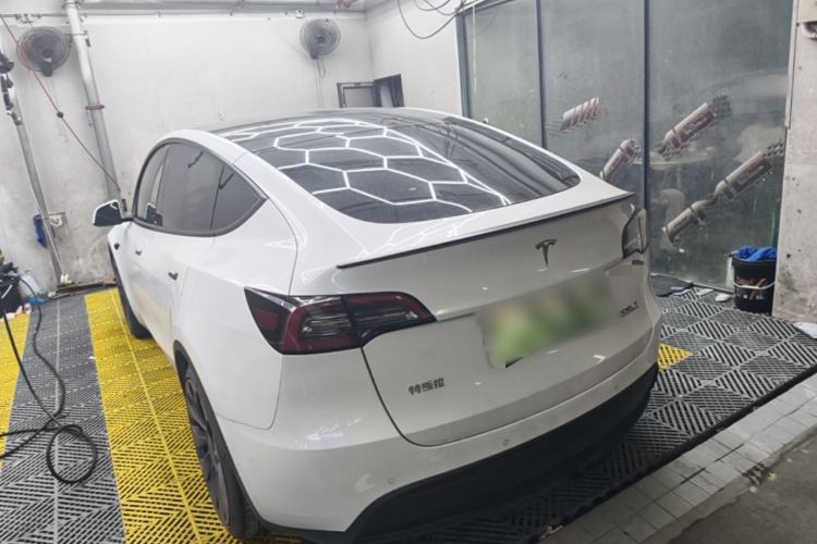 Used Tesla Model Y 2022 Performance High-Performance All-Wheel-Drive Version Rear Left 45 Deg