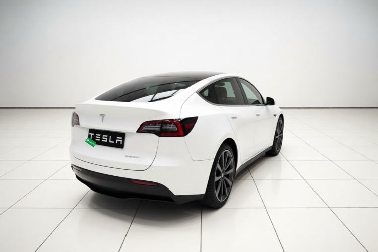 Used Tesla Model Y 2022 Rear-Wheel-Drive Version Rear