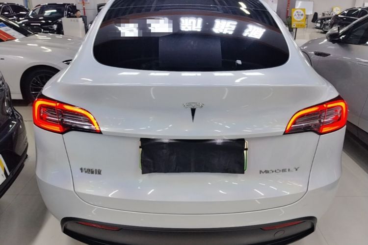 Used Tesla Model Y 2022 Long-Range All-Wheel-Drive Version Rear