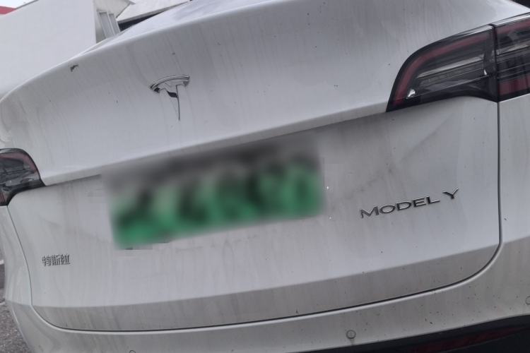 Used Tesla Model Y 2022 Rear-Wheel-Drive Version Rear