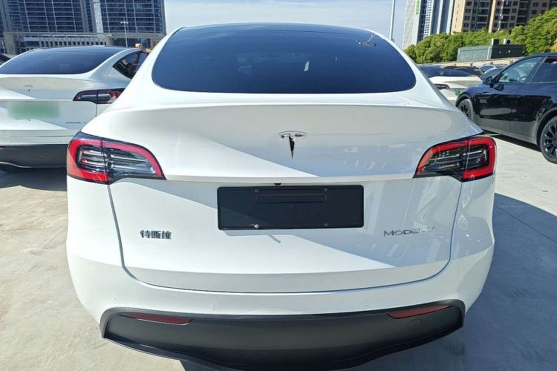 Used Tesla Model Y 2022 Rear-Wheel-Drive Version Rear