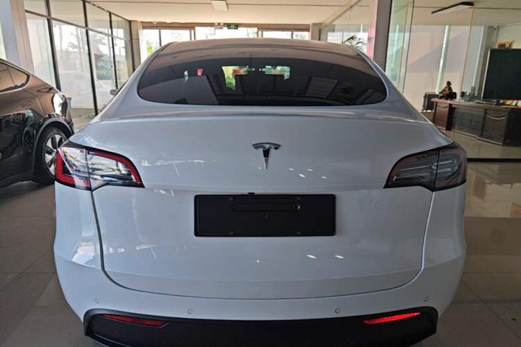 Used Tesla Model Y 2022 Rear-Wheel-Drive Version Rear
