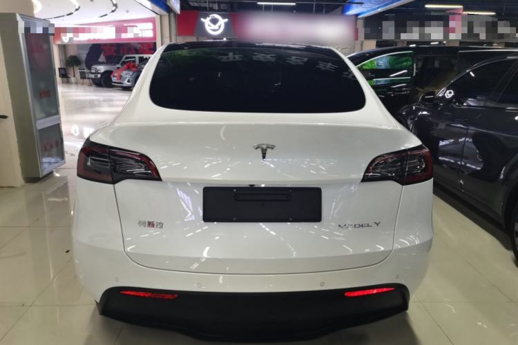 Used Tesla Model Y 2022 Revised Version Long-Range All-Wheel Drive Rear