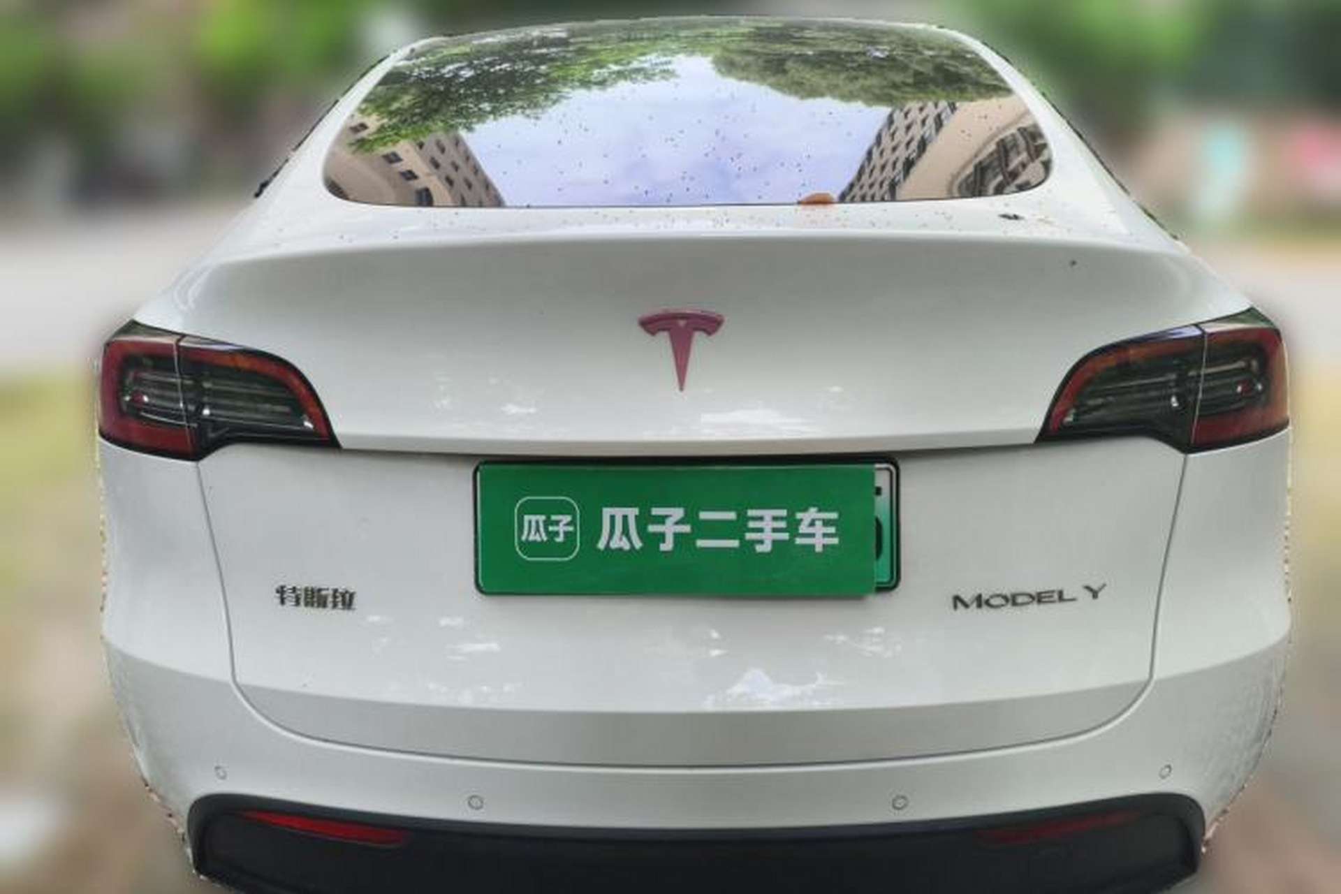Used Tesla Model Y 2022 Rear-Wheel-Drive Version Rear
