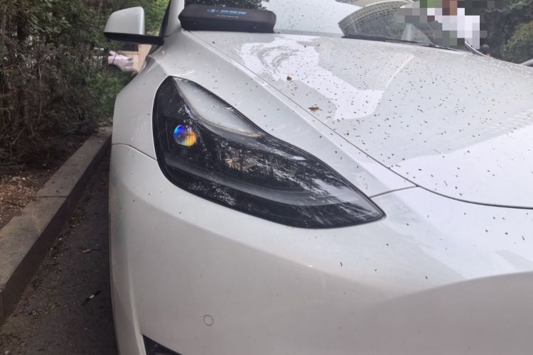 Used Tesla Model Y 2022 Long-Range All-Wheel-Drive Version Right Front Headlight