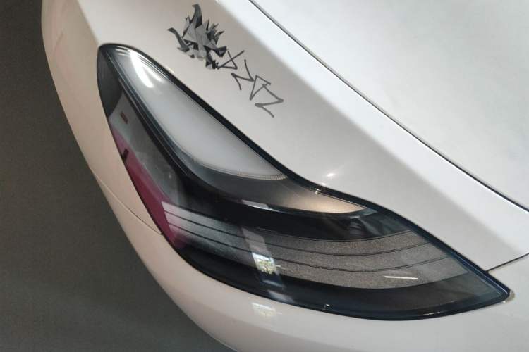 Used Tesla Model Y 2022 Rear-Wheel-Drive Version Right Front Headlight
