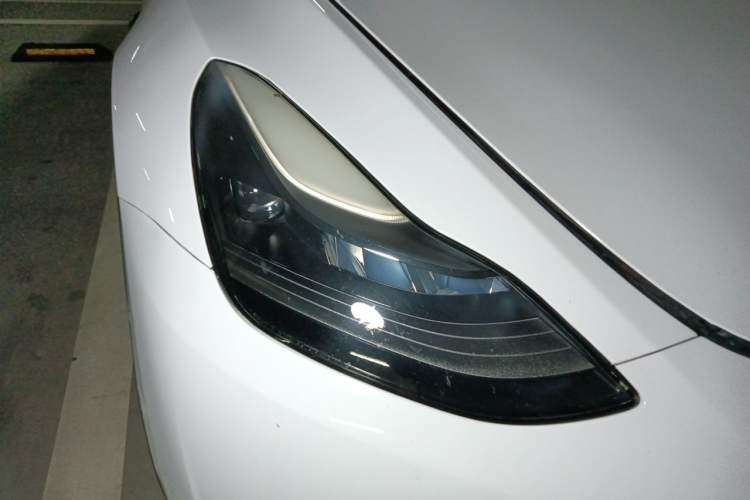 Used Tesla Model Y 2022 Rear-Wheel-Drive Version Right Front Headlight