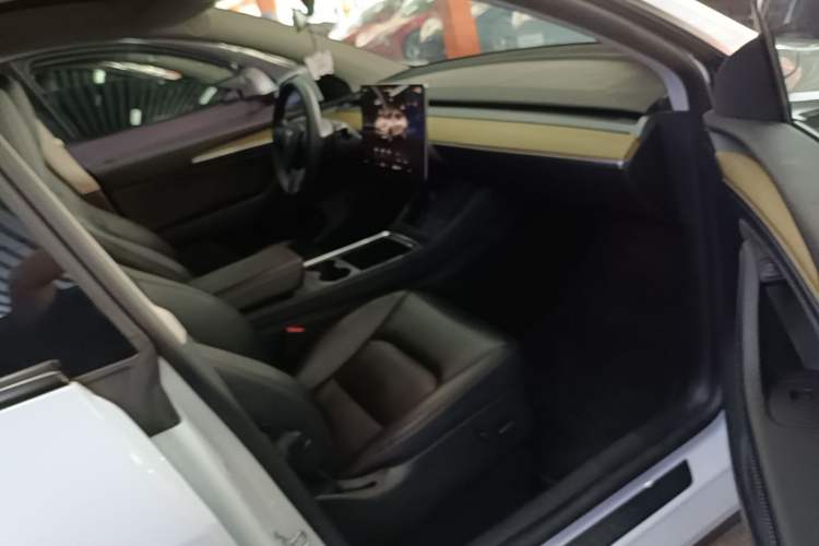 Used Tesla Model Y 2022 Revised Version Rear-Wheel Drive Right Front Seat