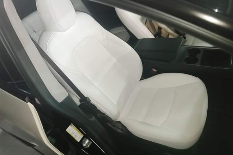 Used Tesla Model Y 2022 Revised Version Rear-Wheel Drive Right Front Seat