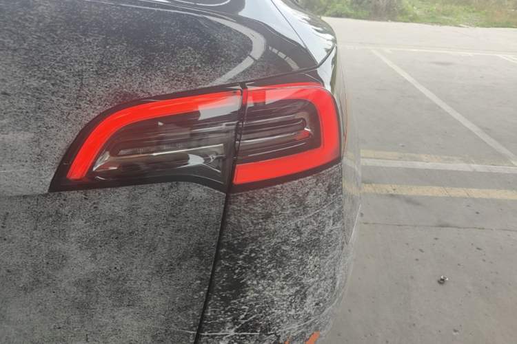 Used Tesla Model Y 2022 Revised Version Long-Range All-Wheel Drive Right Rear Taillight