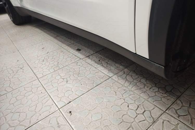 Used Tesla Model Y 2022 Revised Version Long-Range All-Wheel Drive Right Side Sill
