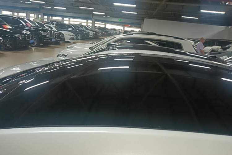 Used Tesla Model Y 2022 Performance High-Performance All-Wheel-Drive Version Roof