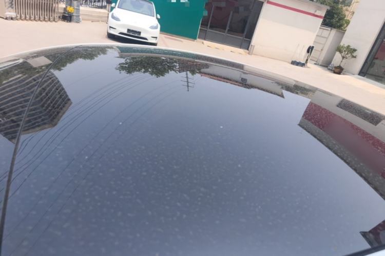 Used Tesla Model Y 2022 Performance High-Performance All-Wheel-Drive Version Roof