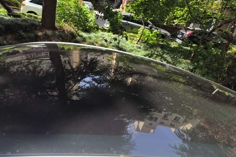 Used Tesla Model Y 2022 Rear-Wheel-Drive Version Roof