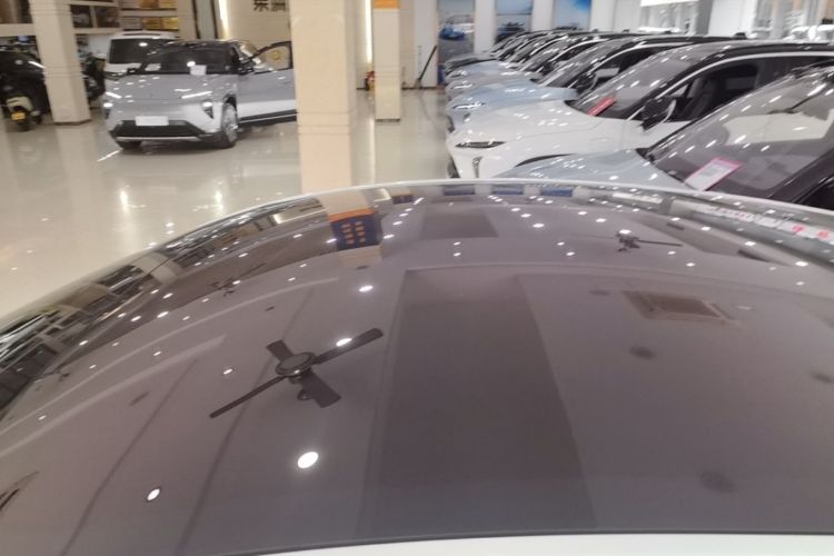 Used Tesla Model Y 2022 Performance High-Performance All-Wheel-Drive Version Roof