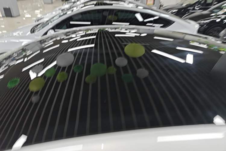Used Tesla Model Y 2022 Long-Range All-Wheel-Drive Version Roof