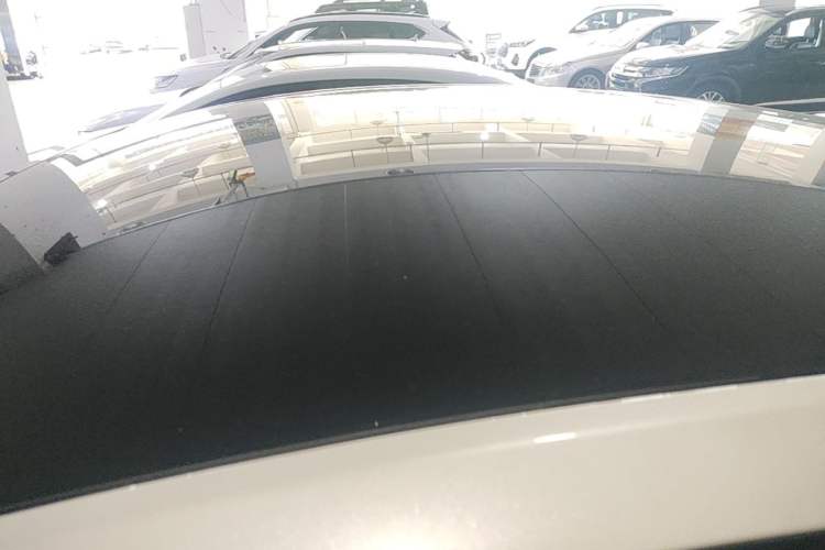 Used Tesla Model Y 2022 Rear-Wheel-Drive Version Roof