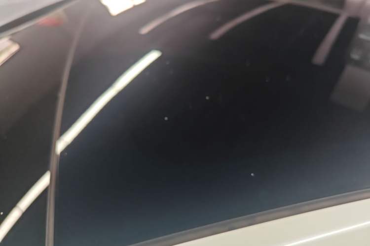Used Tesla Model Y 2022 Rear-Wheel-Drive Version Roof