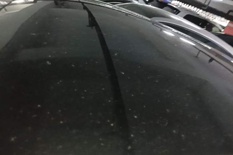 Used Tesla Model Y 2022 Rear-Wheel-Drive Version Roof